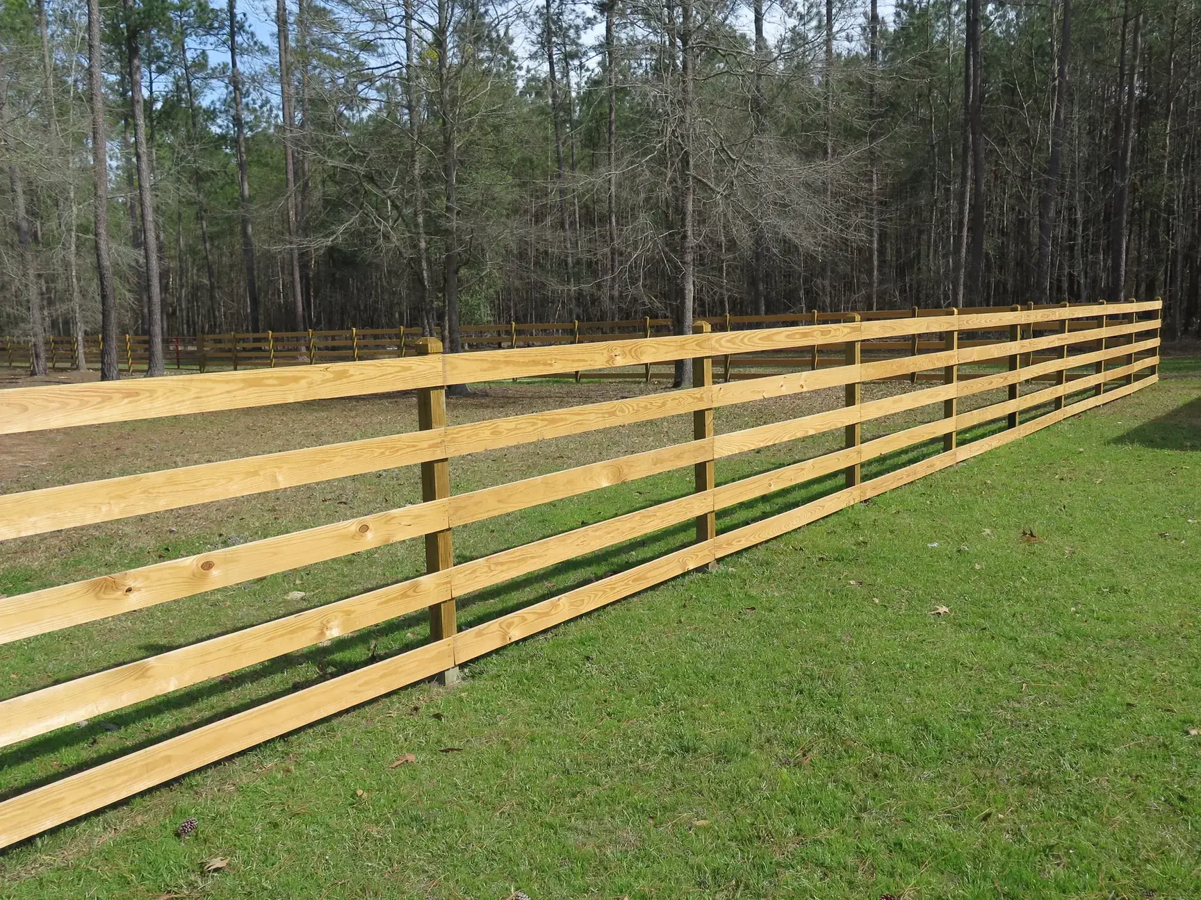 5 Rail Horse Fence