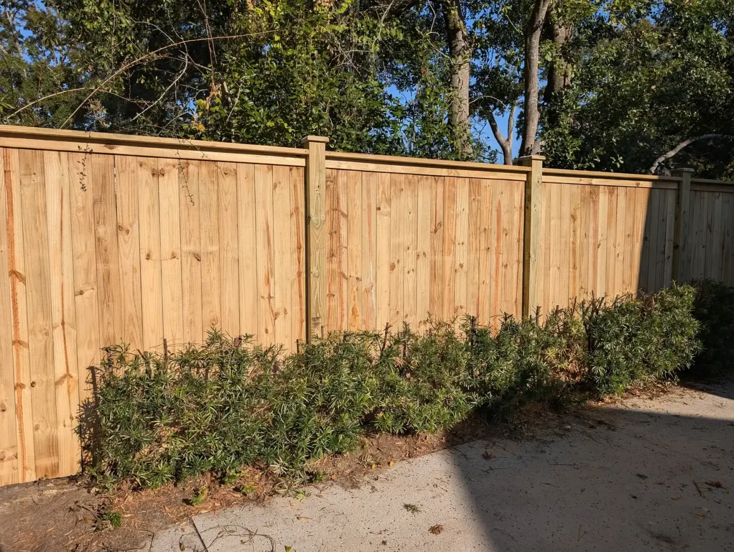 Privacy Wooden Fence